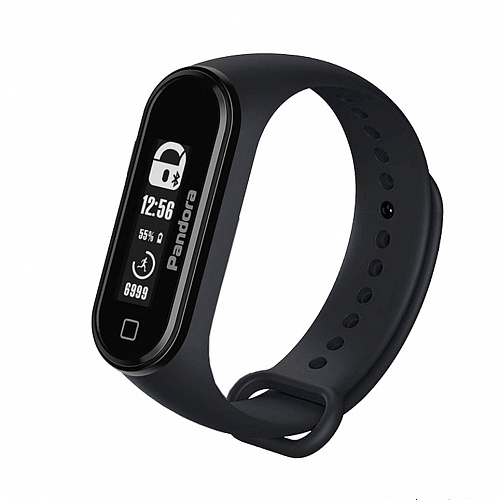 Pandora SMART MOTO (DXL 1300L v3)
